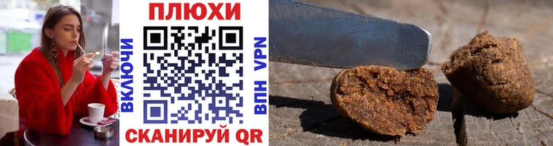 ГАШ Premium  Гдов 