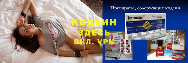 крисы Краснослободск