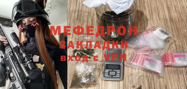 индика Каменногорск