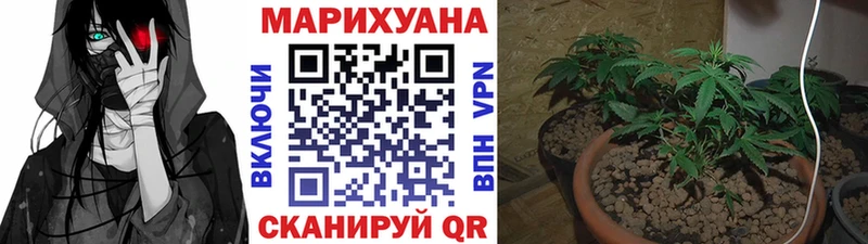 Канабис OG Kush  цена наркотик  Гдов 
